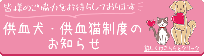 供血犬・供血猫制度のお知らせ
