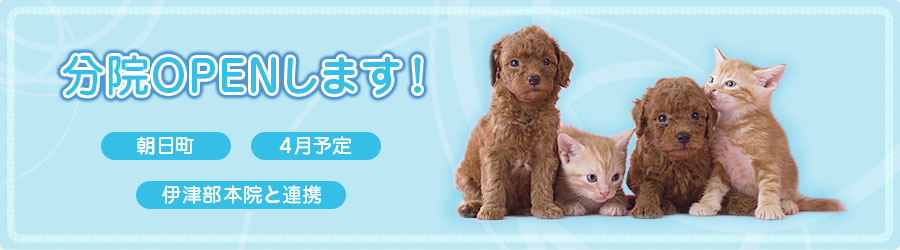 当院は、動物や飼い主のストレスの軽減に最大限配慮した獣医医療を目指します。