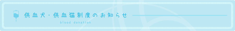 ELx̂m点