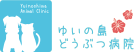䂢̓ǂԂa@