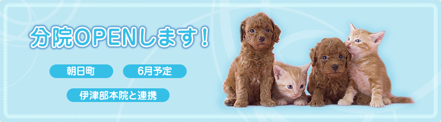 ���@OPEN���܂��I