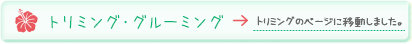 g~OEO[~O